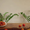 Hey! Chips cherry tomato crisps product video.