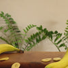 Hey! Chips banana crisps product video.
