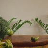 Hey! Chips broccoli crisps product video.